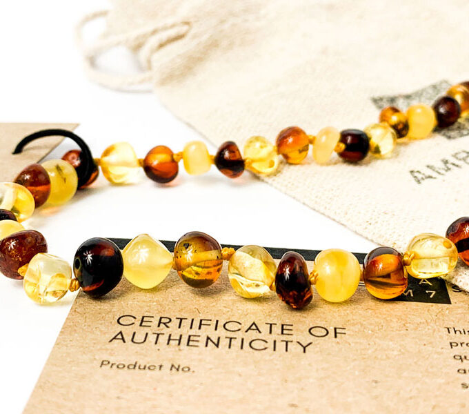 multi color amber adult necklace