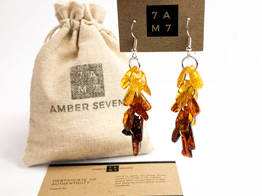 colorful baltic amber dangle earrings