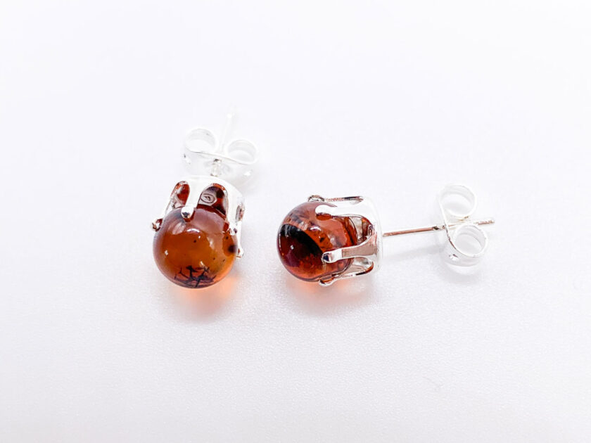 baltic amber studs