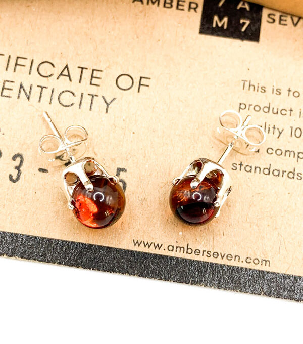 red amber stud earrings